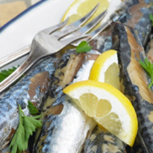 135085 Mackerel900x600SHOP